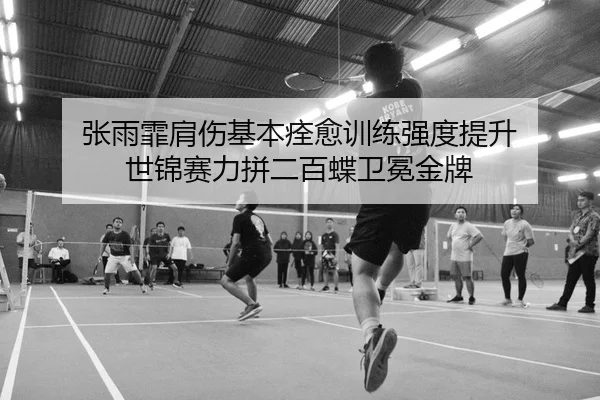 张雨霏肩伤基本痊愈训练强度提升 世锦赛力拼二百蝶卫冕金牌
